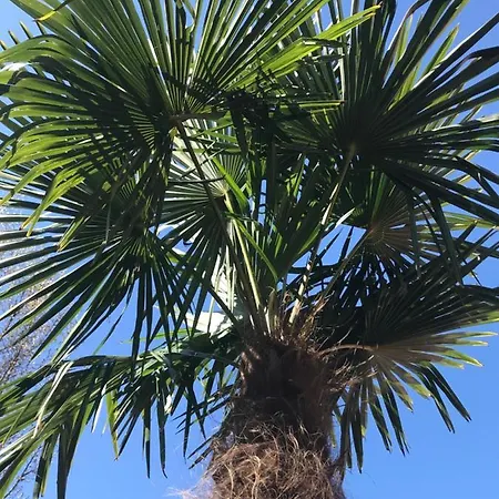 아파트 Komfort-ferienwohnung Dreilaendereck *