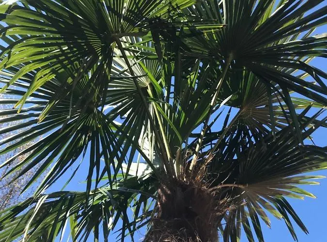 Appartamento Komfort-ferienwohnung Dreilaendereck *